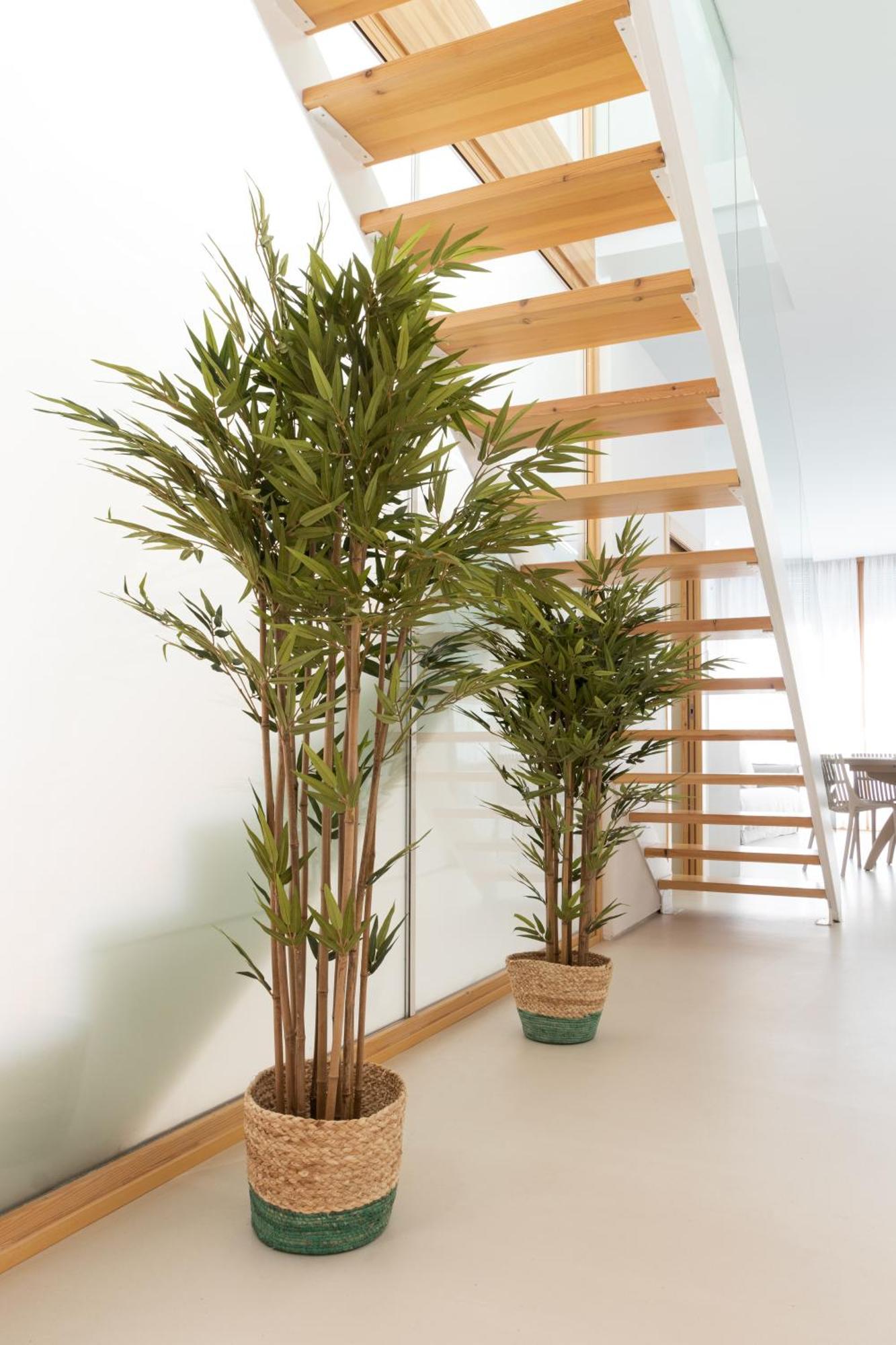 Apartamento Don Algodon Platja 甘迪亚 外观 照片